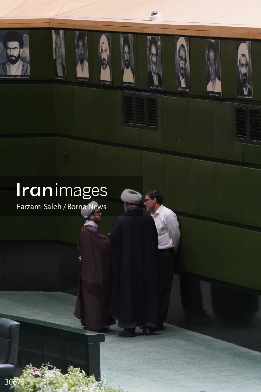 the public meeting of the Islamic Consultative Assembly (iranian parliament)