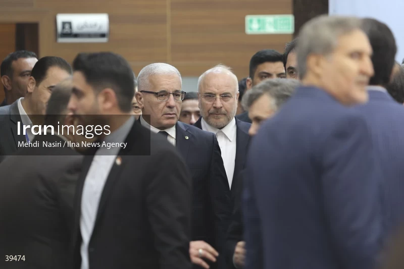 The fifth emergency session of the Permanent Committee on Palestine