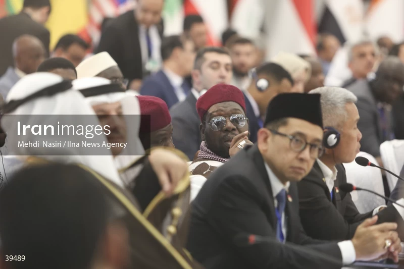 The fifth emergency session of the Permanent Committee on Palestine