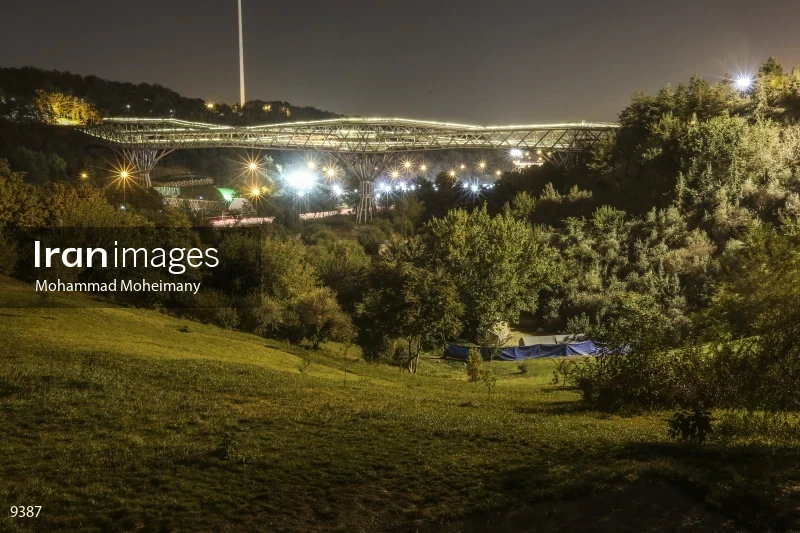 Tabiat Bridge