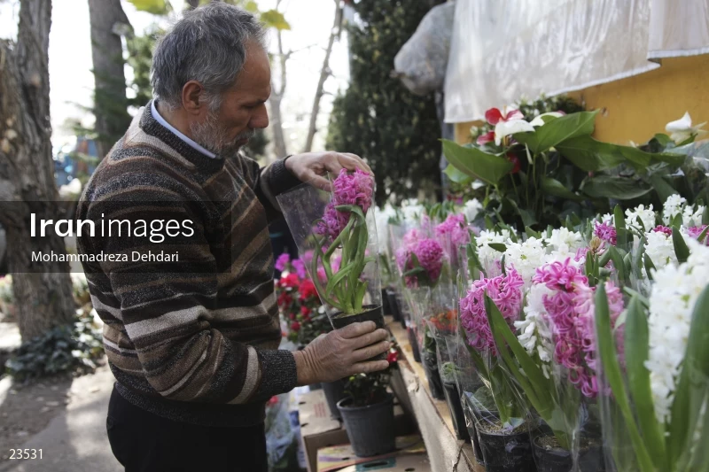 Qasr Aldasht flower market, Shiraz