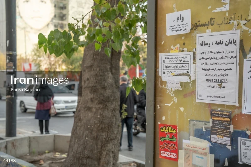 Wall Advertisements in the City