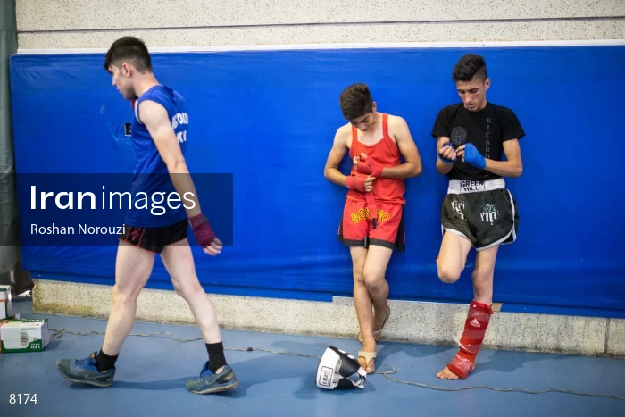 The 17th National Kickboxing competitions