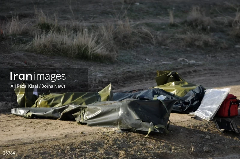 The crash of the Ukrainian passenger plane