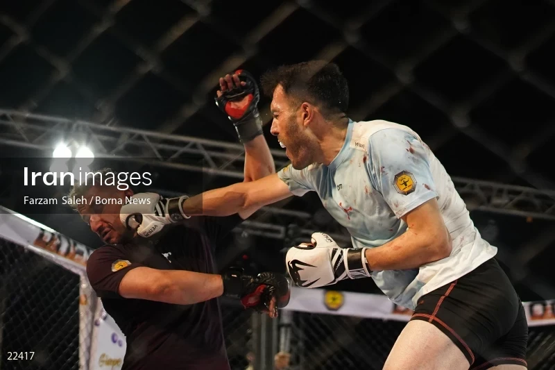 Mixed martial arts (MMA) competitions in Iran