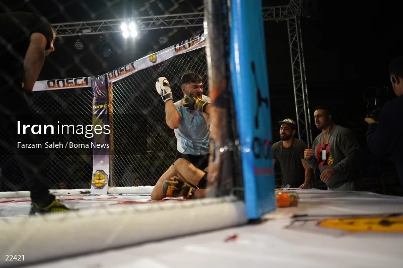 Mixed martial arts (MMA) competitions in Iran