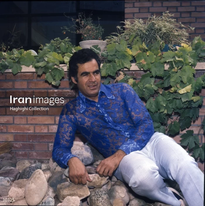 Naser Malek Motiee