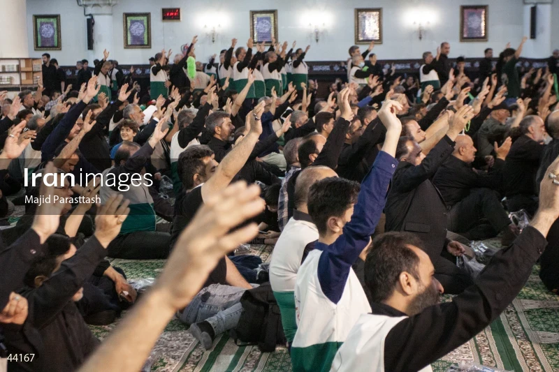 The Gathering of Razavi Volunteers at the Shrine of Abdul Azim al-Hasani
