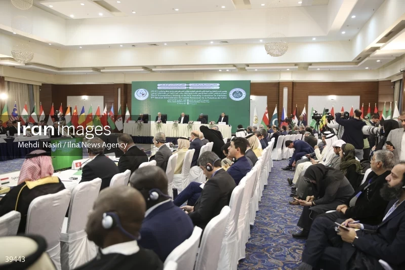 The fifth emergency session of the Permanent Committee on Palestine