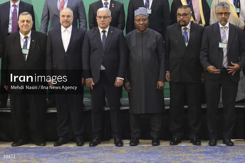 The fifth emergency session of the Permanent Committee on Palestine