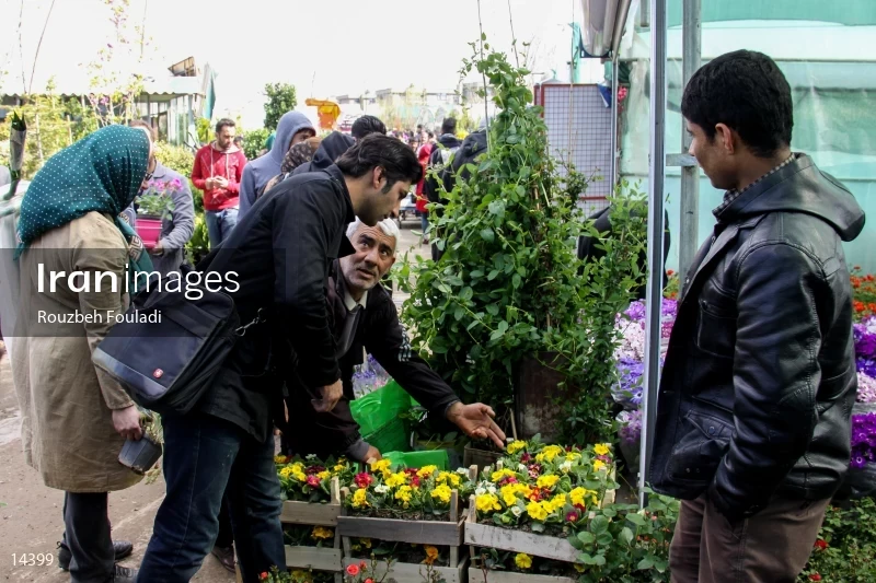 Tehran Flower Market