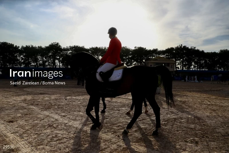 Armos Cup international horse jumping competition