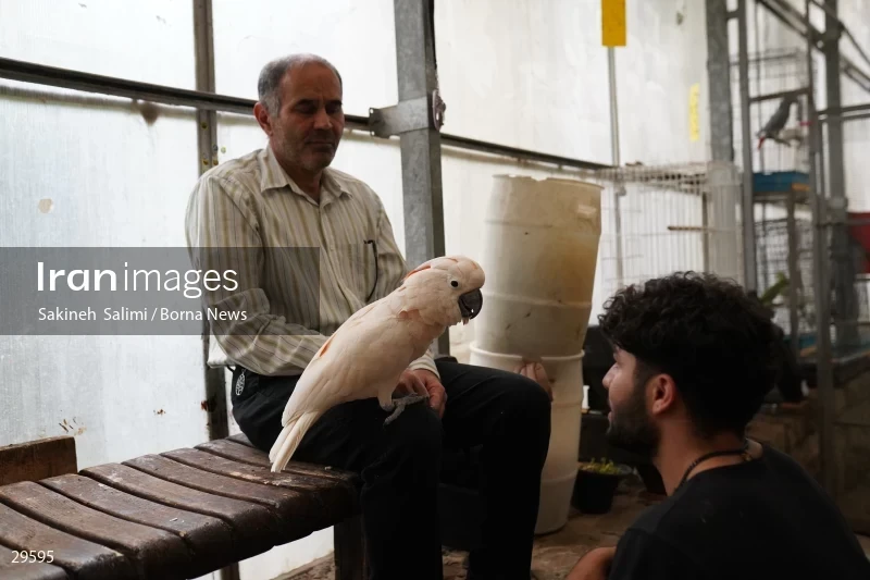 Tehran Birds Garden