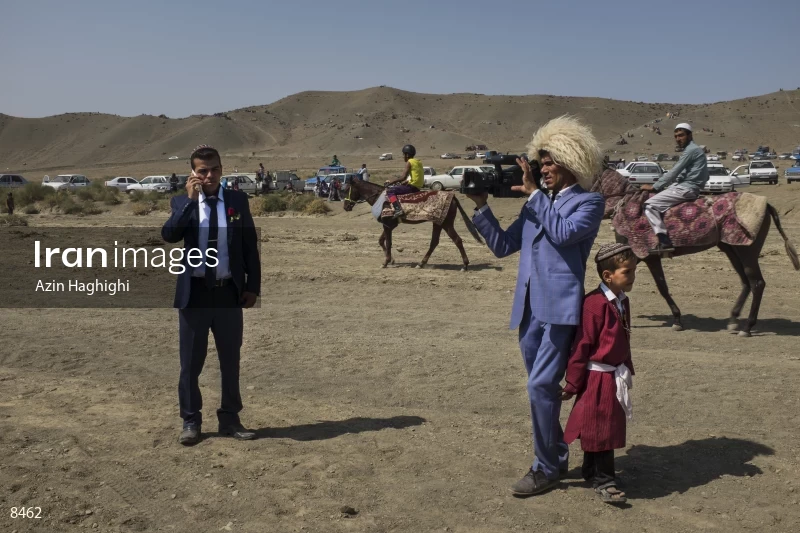 Horses in Turkmens festivities