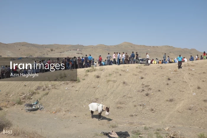Horses in Turkmens festivities.