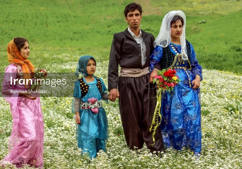 Traditional wedding in Kurdistan