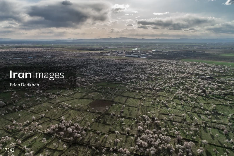 Spring in Qazvin
