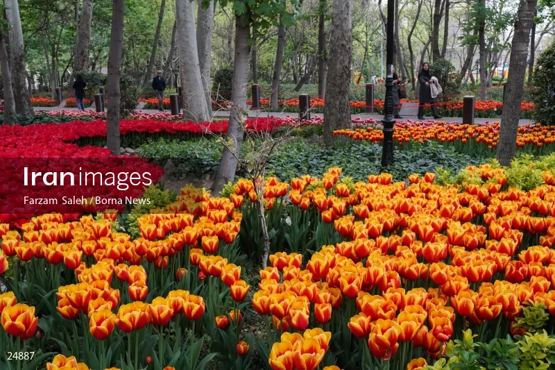 Bagh-e Irani (Iranian Garden) Park
