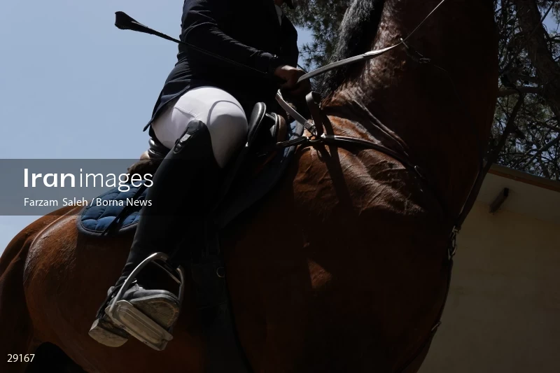 Armos Cup international horse jumping competition
