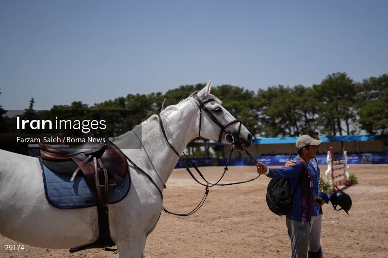 Armos Cup international horse jumping competition
