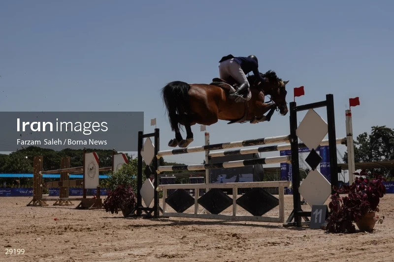 Armos Cup international horse jumping competition