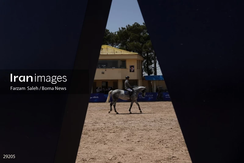 Armos Cup international horse jumping competition