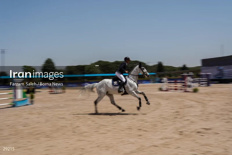 Armos Cup international horse jumping competition