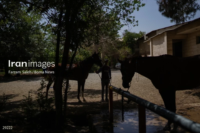 Armos Cup international horse jumping competition
