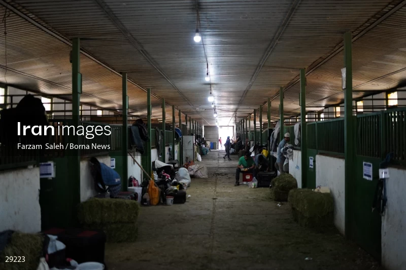 Armos Cup international horse jumping competition