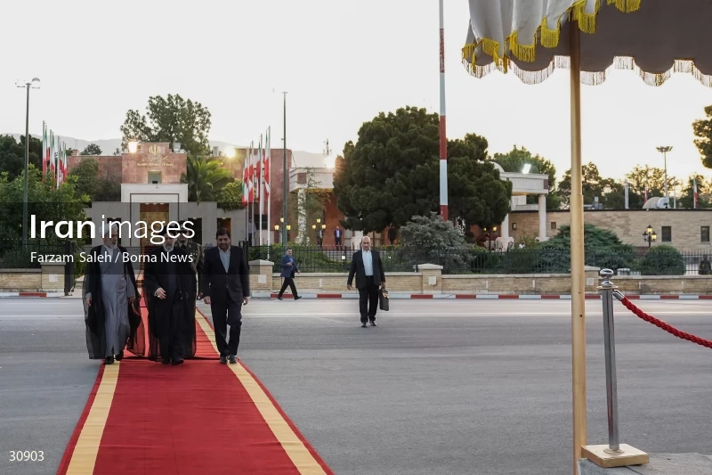 The official see-off ceremony of the president on his trip to Latin America