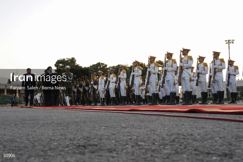 The official see-off ceremony of the president on his trip to Latin America