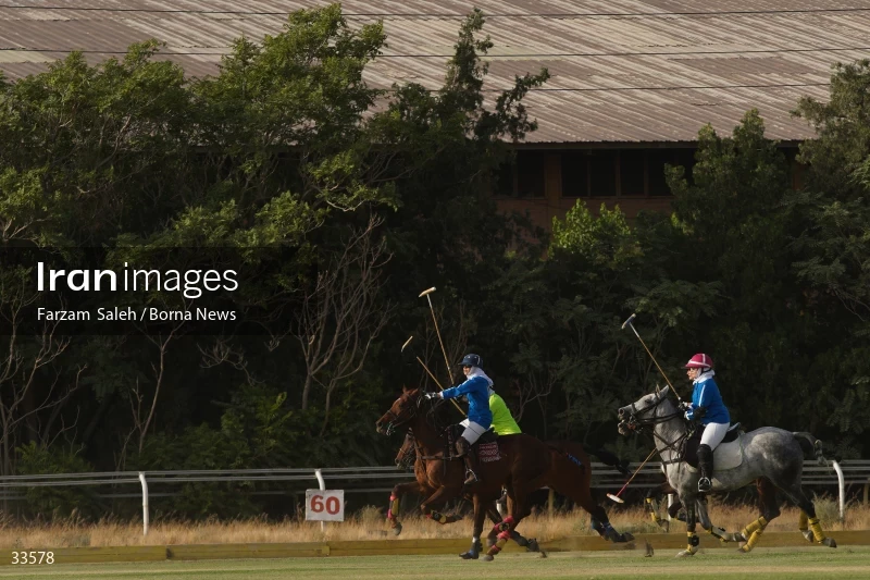 The 7th week of the National Women's Polo League (Laleh Cup)