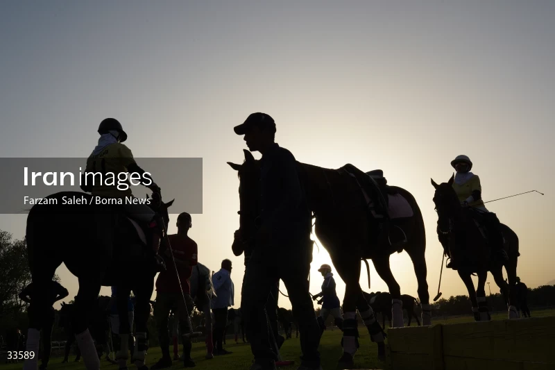 The 7th week of the National Women's Polo League (Laleh Cup)