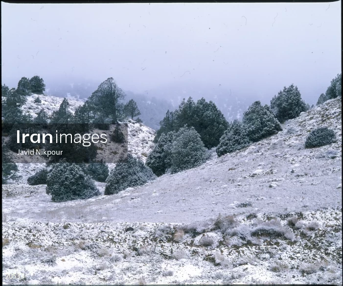 Chahar Bagh heights, Gorgan