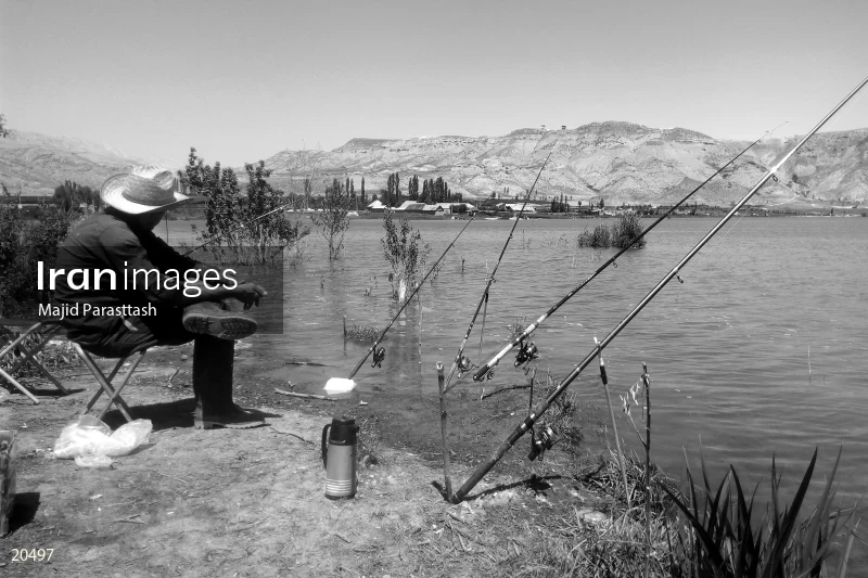 Fisherman
