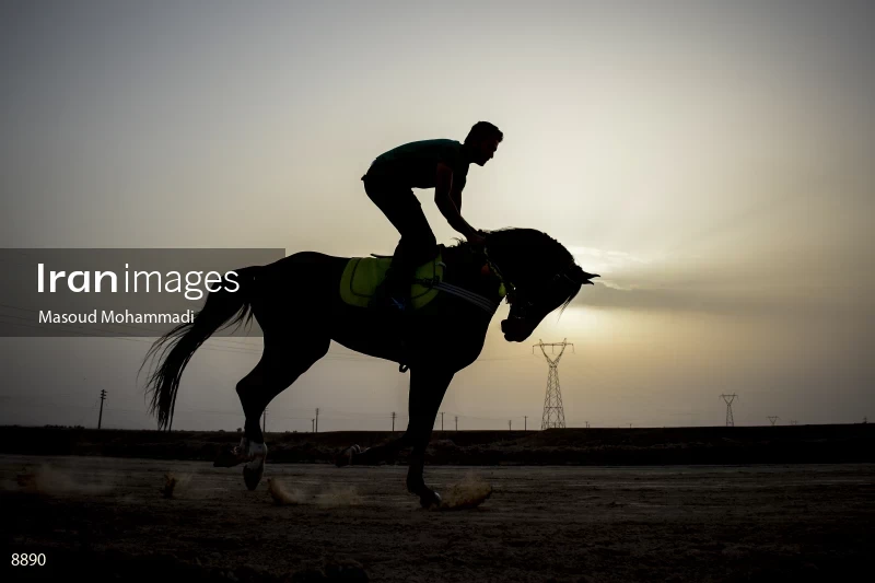 7th Annual Nomads Horse Riding Race
