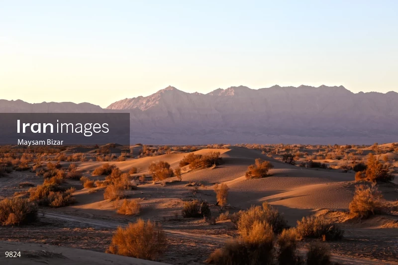 Sunrise at Mesr Desert