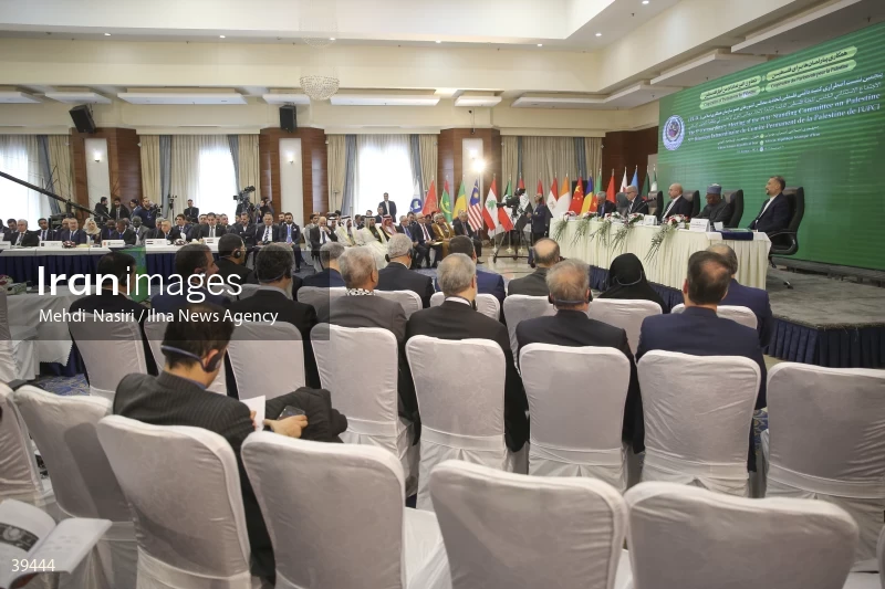 The fifth emergency session of the Permanent Committee on Palestine