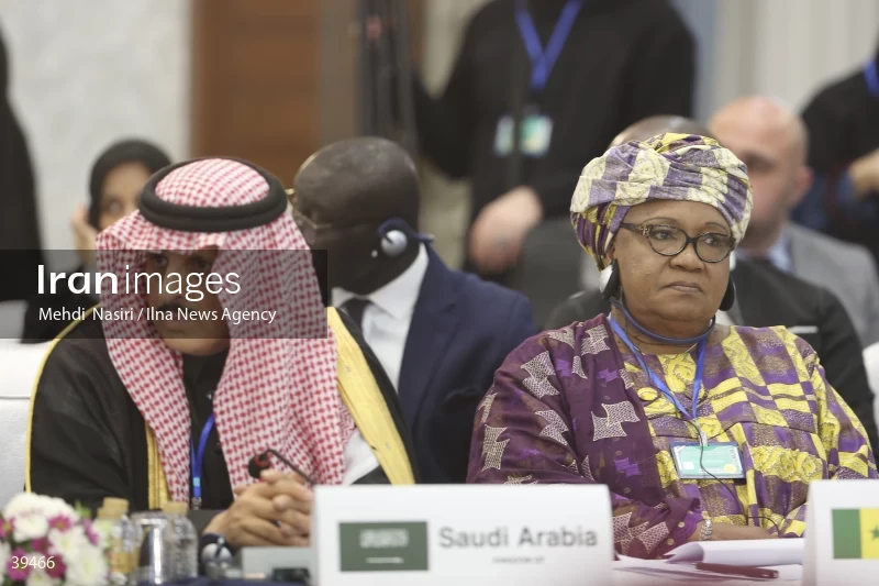 The fifth emergency session of the Permanent Committee on Palestine