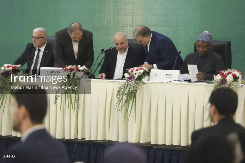 The fifth emergency session of the Permanent Committee on Palestine