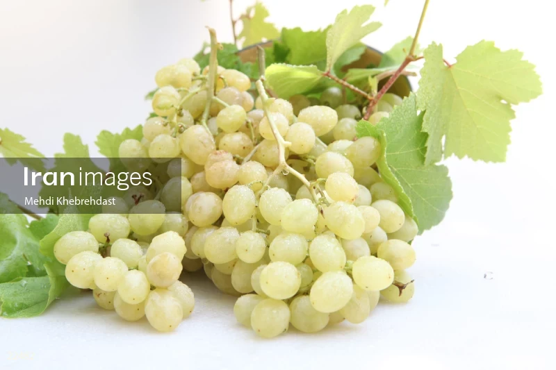 Bunch of green grapes on white background