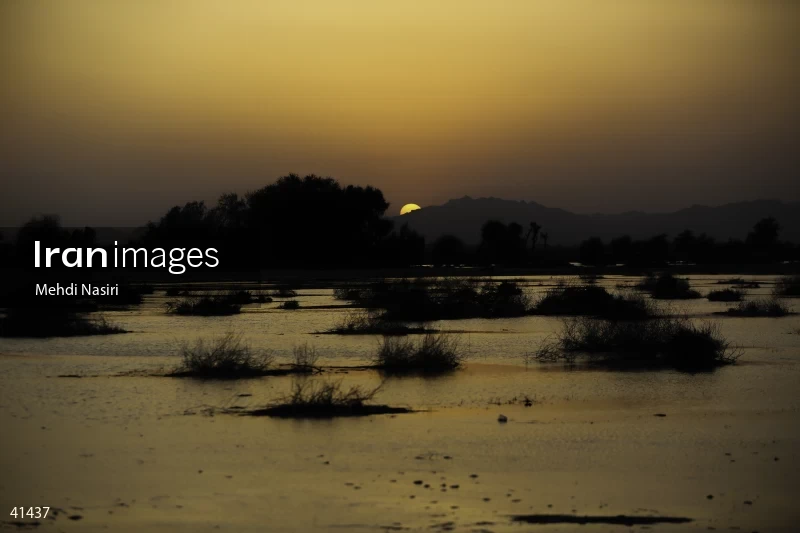 Floods in Dashtiari County
