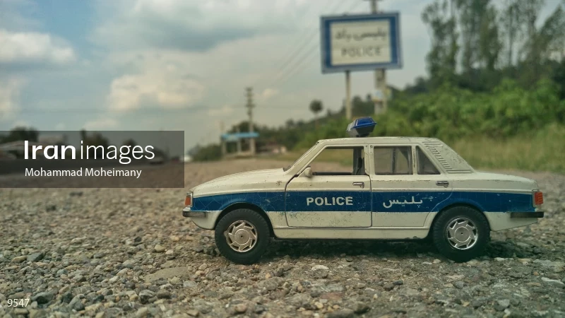 Pakan police model car