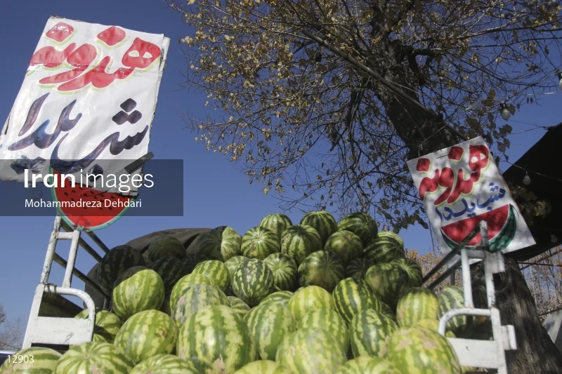 Fruit Sale For Yalda