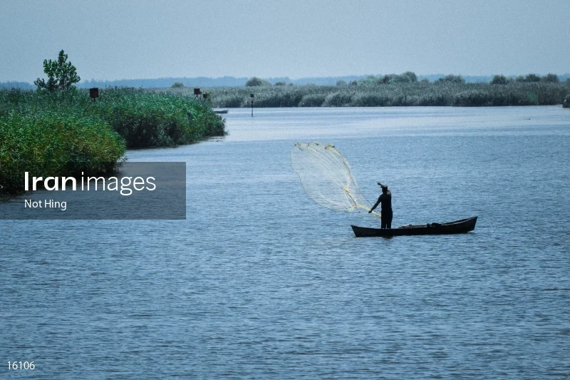 Anzali Lagoon