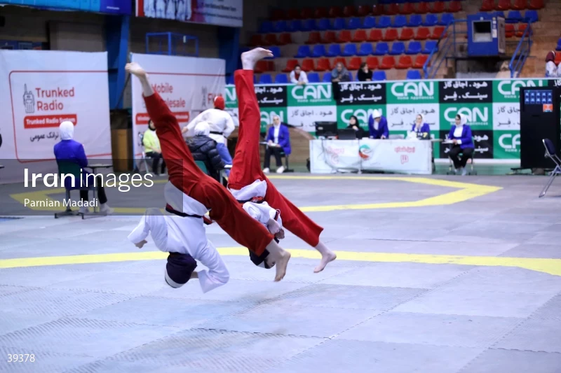 Neshat Cup, The Taekwondo League competitions in the women's category