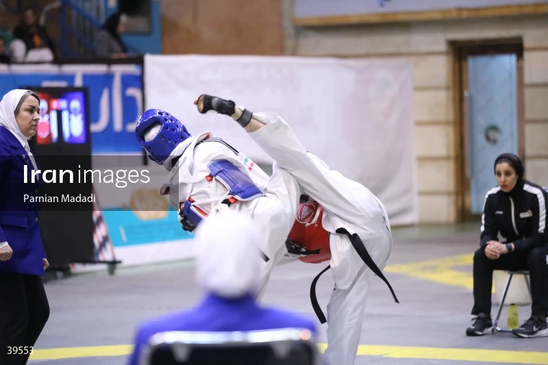 Women's Premier Taekwondo League
