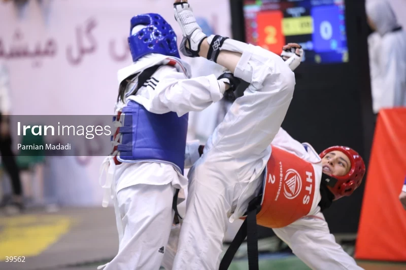 Women's Premier Taekwondo League
