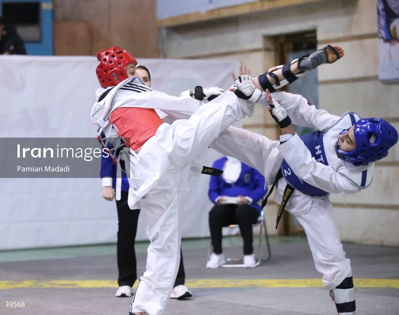 Women's Premier Taekwondo League
