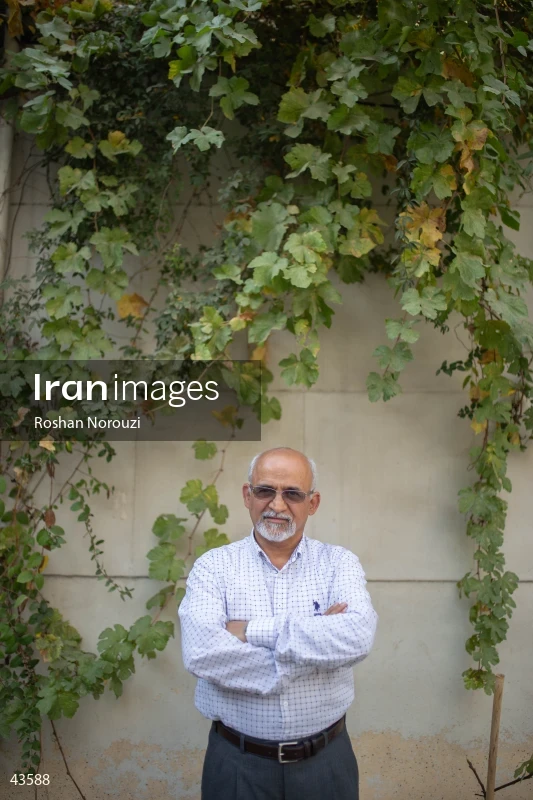 Mohsen Mirdamadi
